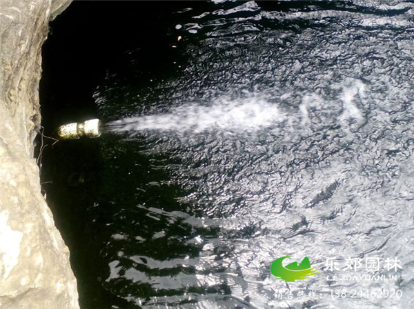 庭院魚(yú)池圖片