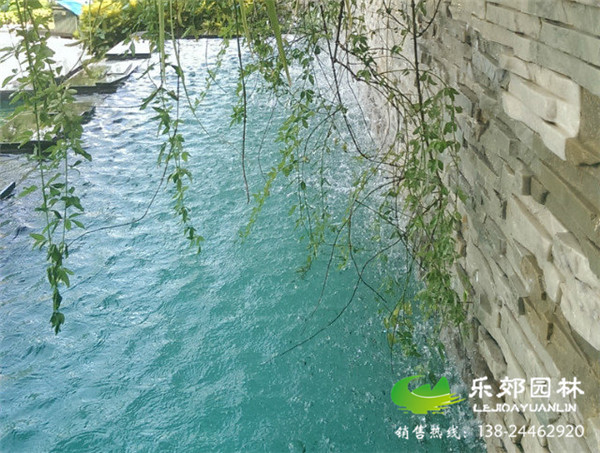 景觀(guān)魚(yú)池水處理效果圖片