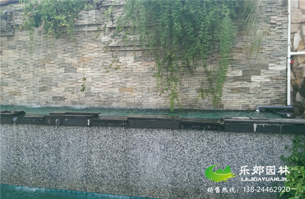 景觀(guān)魚(yú)池水處理設備圖片