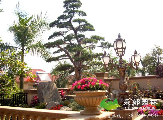 別墅庭院設計實(shí)景圖