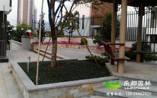 別墅花園庭院設計圖