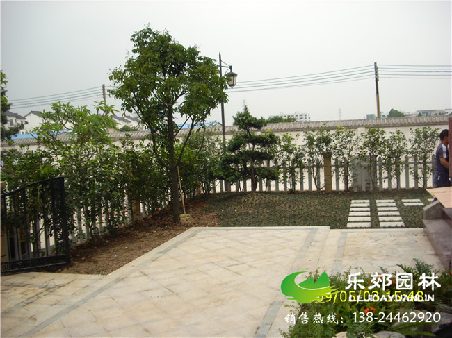 別墅花園工程現場(chǎng)圖片