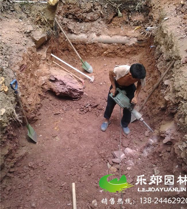 庭院魚(yú)池建造圖片1