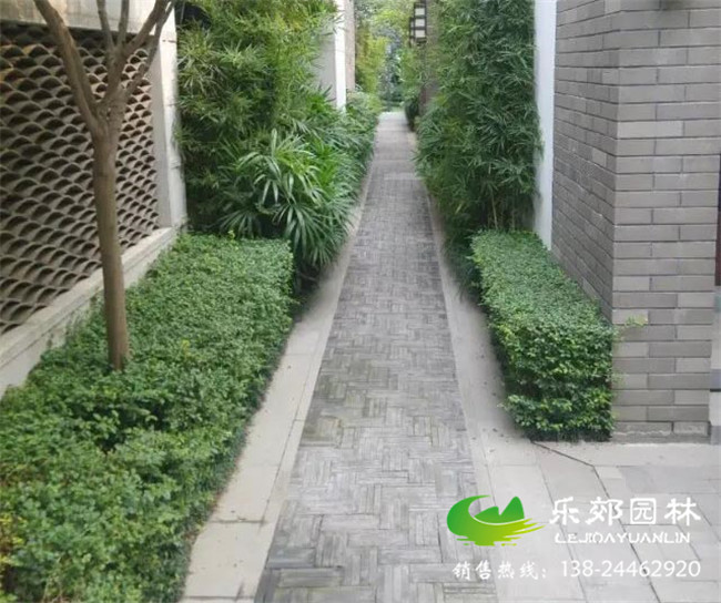 庭院園路圖片2