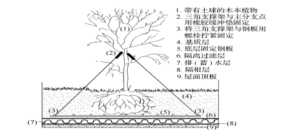 樓頂花園綠化種植規范圖片