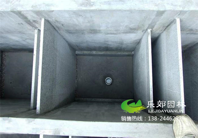 錦鯉魚(yú)池設計與建造全套流程3圖片