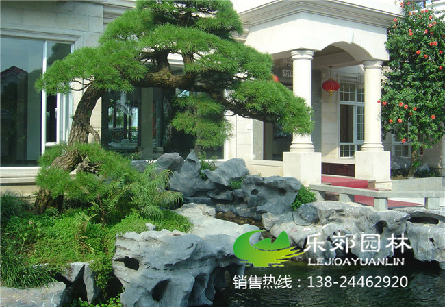 別墅庭院太湖石假山魚(yú)池設計圖2