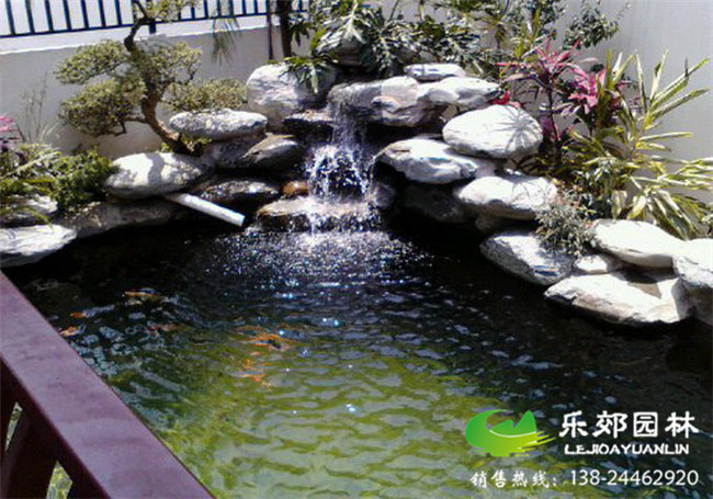 庭院錦鯉魚(yú)池完成效果圖