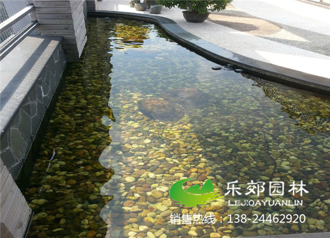 小魚(yú)池底部生物過(guò)濾系統圖片