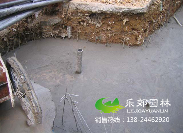 魚(yú)池底部硬化圖片