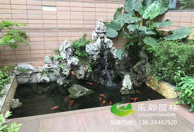 家庭魚(yú)池假山實(shí)景圖片
