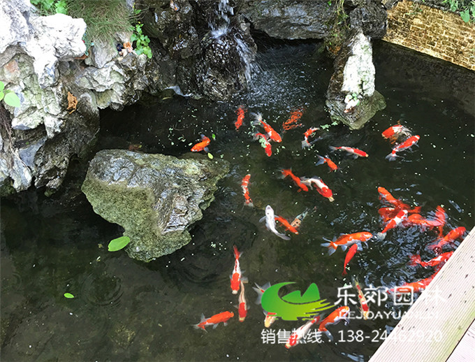 家庭魚(yú)池假山設計圖片