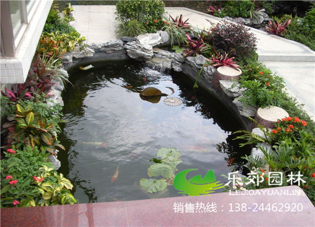 庭院荷花小魚(yú)池實(shí)景圖