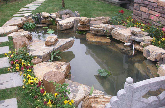 種植荷花的淺水魚(yú)池景觀(guān)圖片