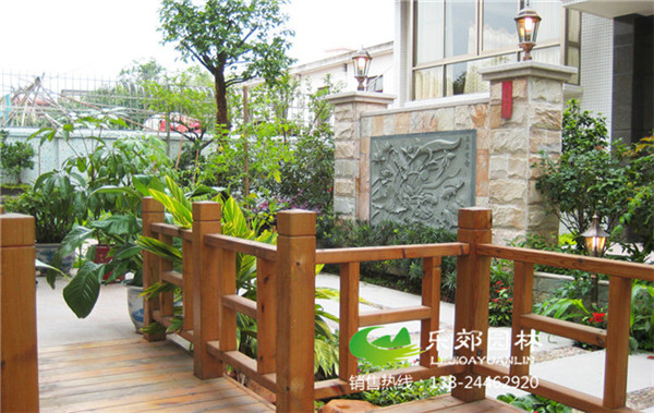 私家庭院中植物的設計圖片