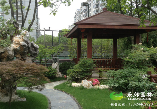 庭院中種植植物的效果圖