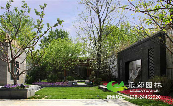 庭院植物的觀(guān)賞景點(diǎn)圖片5