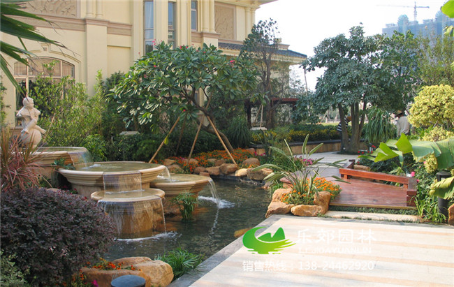 庭院養荷花的小魚(yú)池圖片