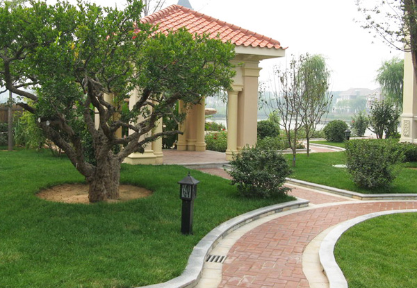 別墅庭院園路設計樣式5圖片