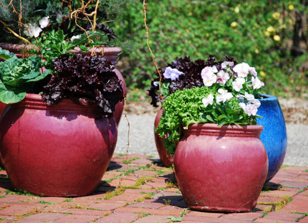 庭園景觀(guān)小品設計圖片6