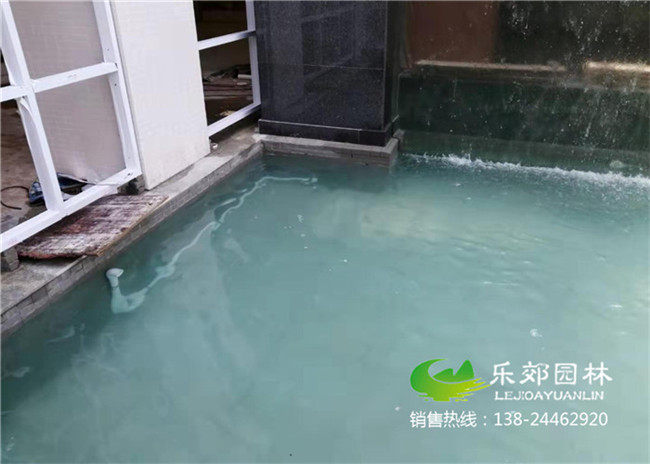 云浮市醫院景觀(guān)魚(yú)池改造圖片5
