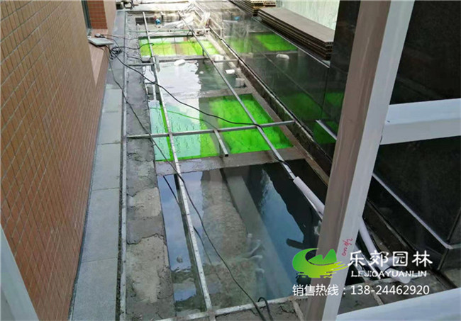 云浮市醫院景觀(guān)魚(yú)池改造圖片7