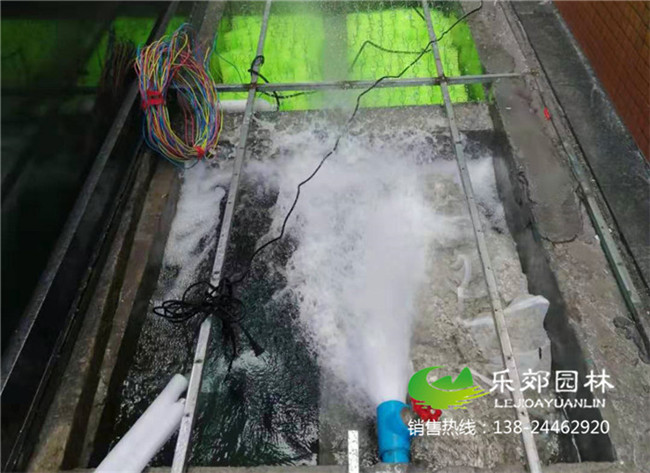 云浮市醫院景觀(guān)魚(yú)池改造圖片8