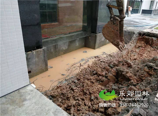 云浮市醫院景觀(guān)魚(yú)池改造圖片1