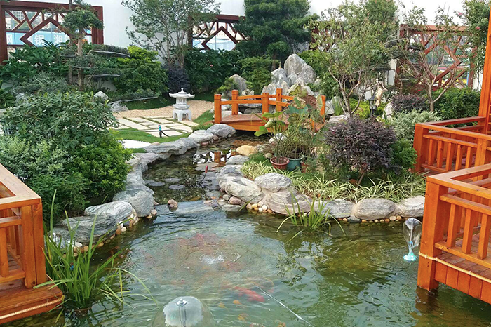 公司天臺魚(yú)池噴泉設計圖3