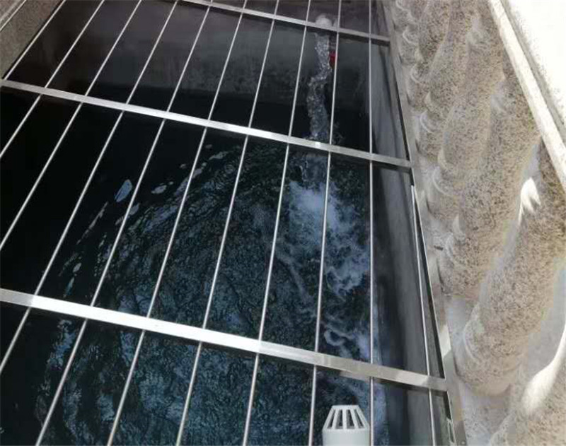 廣州番禺區別墅庭院設計案例圖片2