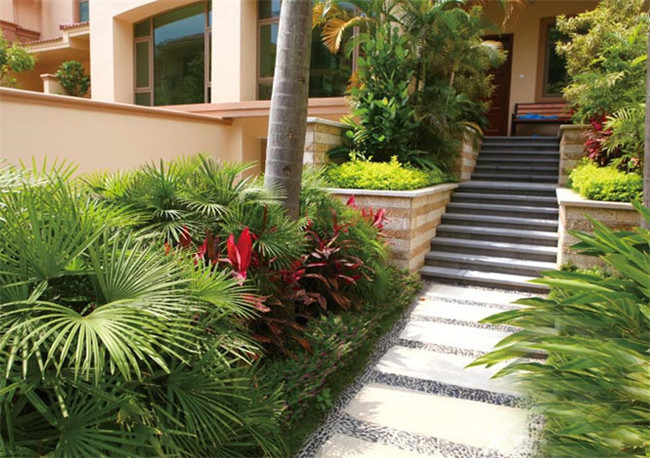 別墅庭院院子種植樹(shù)木的圖片2