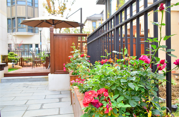 別墅花園設計實(shí)景圖片欣賞