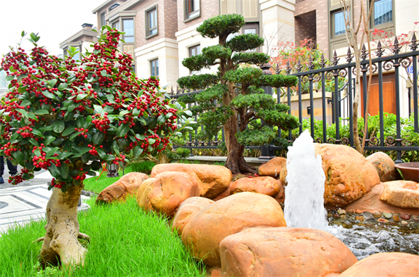 別墅花園設計實(shí)景圖片欣賞