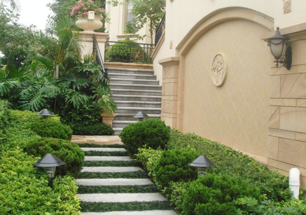 別墅庭院園林綠色植物種植圖片1