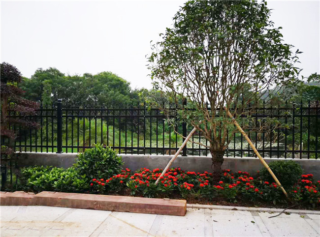 在別墅花園中種花的圖片1