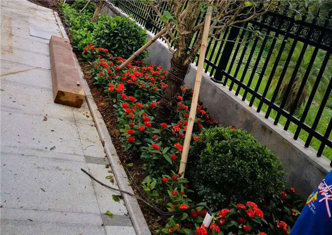 在別墅花園中種花的圖片2