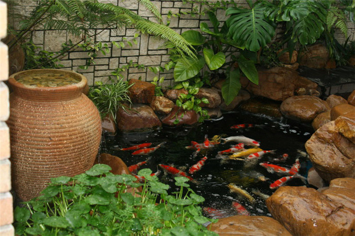 廣州庭院風(fēng)水魚(yú)池設計圖3