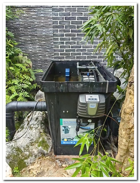 不同規格智能過(guò)濾系統適用于各種錦鯉池的選擇指南3