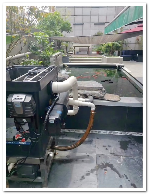 不同規格智能過(guò)濾系統適用于各種錦鯉池的選擇指南4