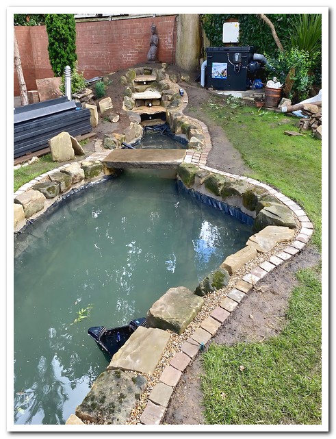 不同規格智能過(guò)濾系統適用于各種錦鯉池的選擇指南6