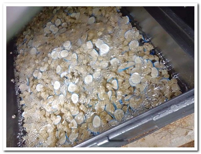 智能轉鼓過(guò)濾系統季度維護清單和關(guān)鍵步驟圖示6