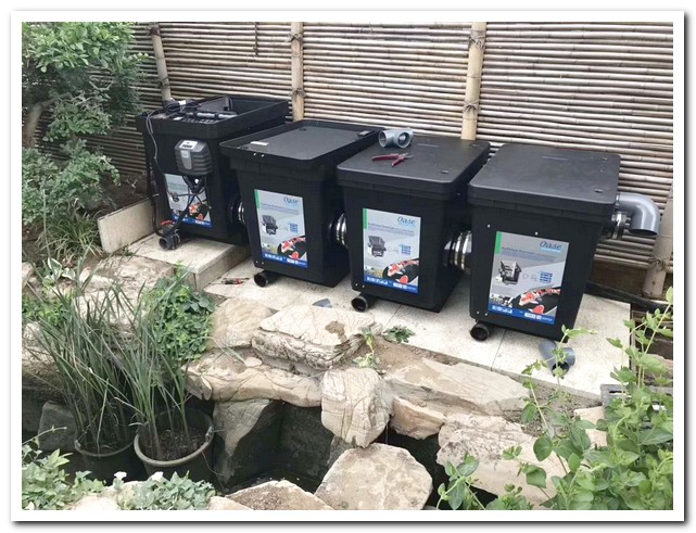 魚(yú)池智能轉鼓過(guò)濾器的安裝與維護