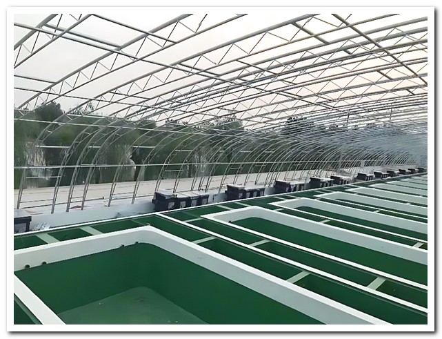 魚(yú)池智能化過(guò)濾設備：智能水質(zhì)管理